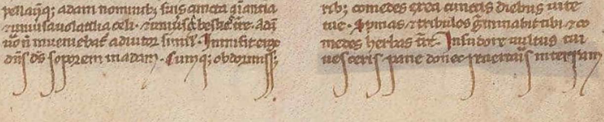 Figure 1: Example of long letters at the bottom line of __ in the Beinecke MS 1100 manuscript.