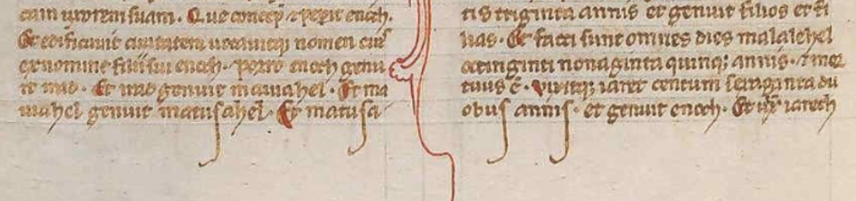 Figure 3: Example of long letters at the bottom line of 7v in the Beinecke MS 1100 manuscript.